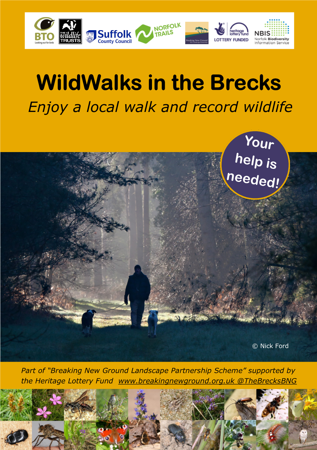 Wildwalks in the Brecks Enjoy a Local Walk and Record Wildlife