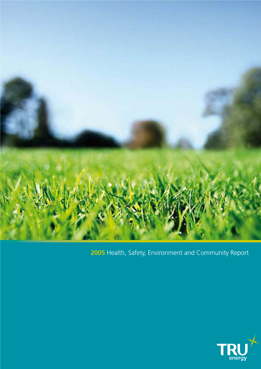 2005 Health, Safety, Environment and Community Report
