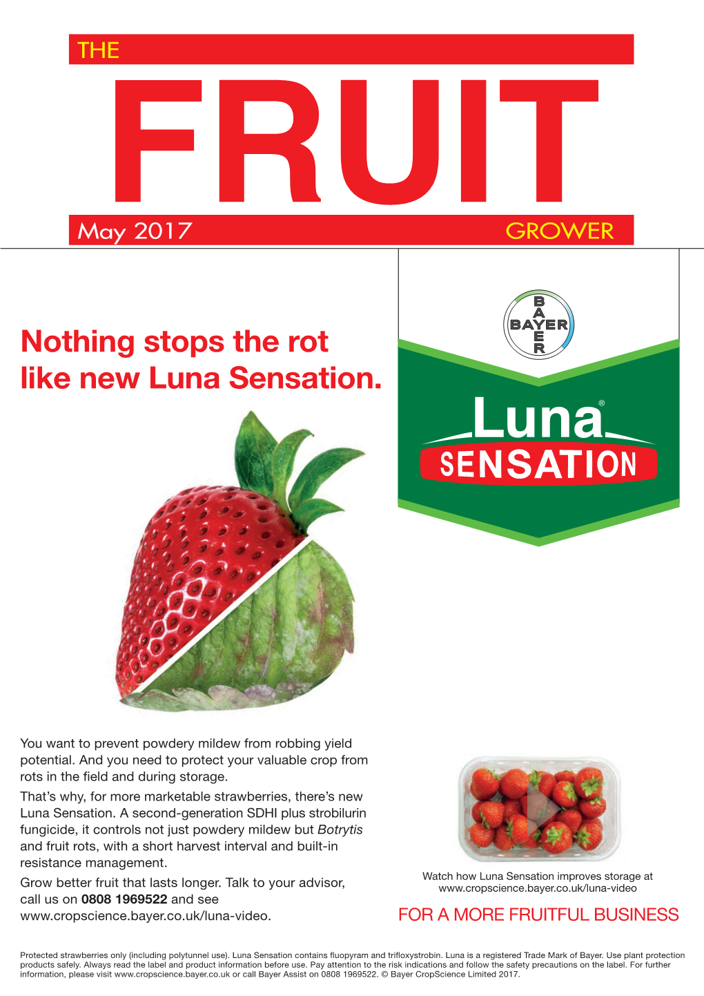 Nothing Stops the Rot Like New Luna Sensation