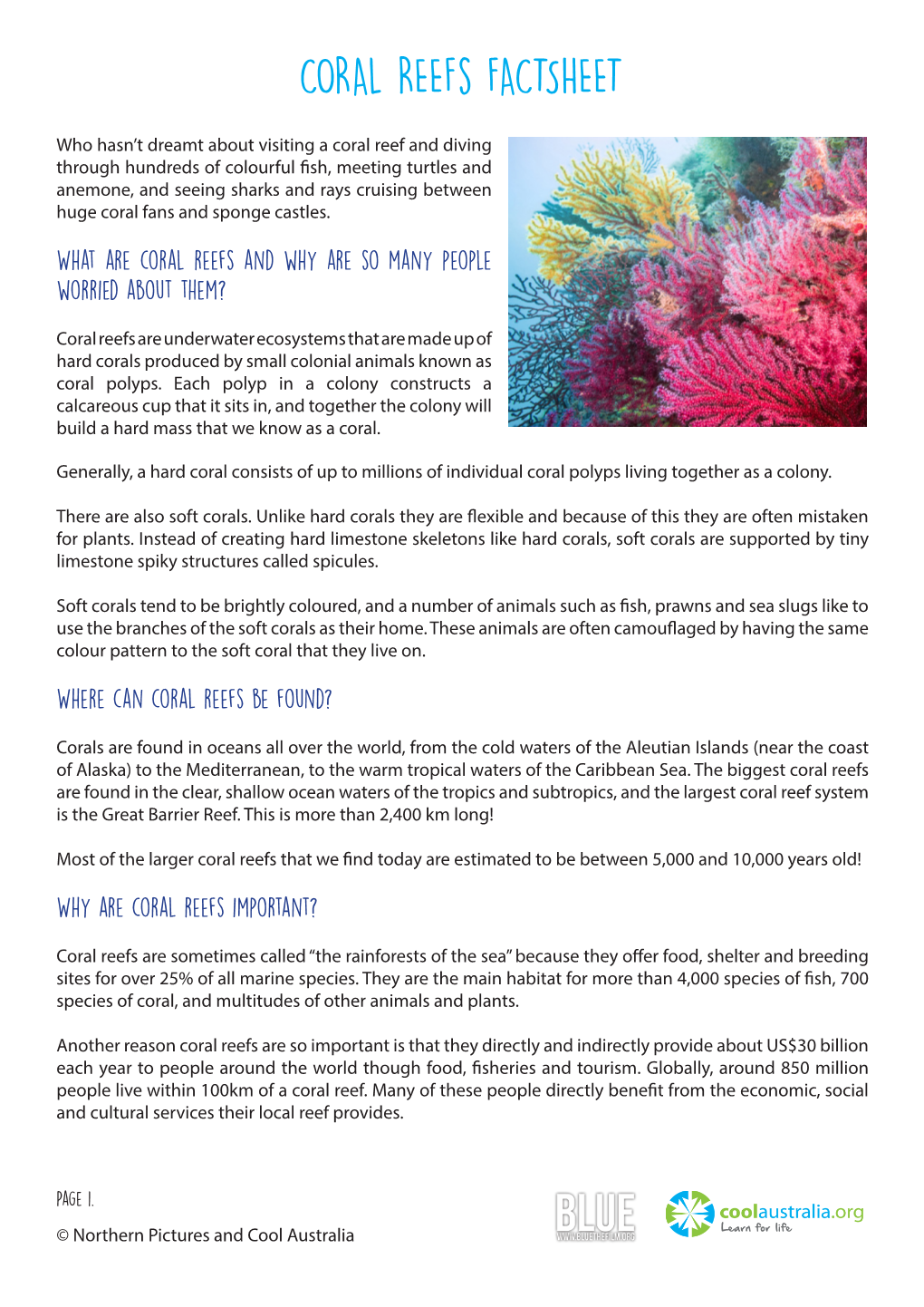 CORAL Reefs FACTSHEET