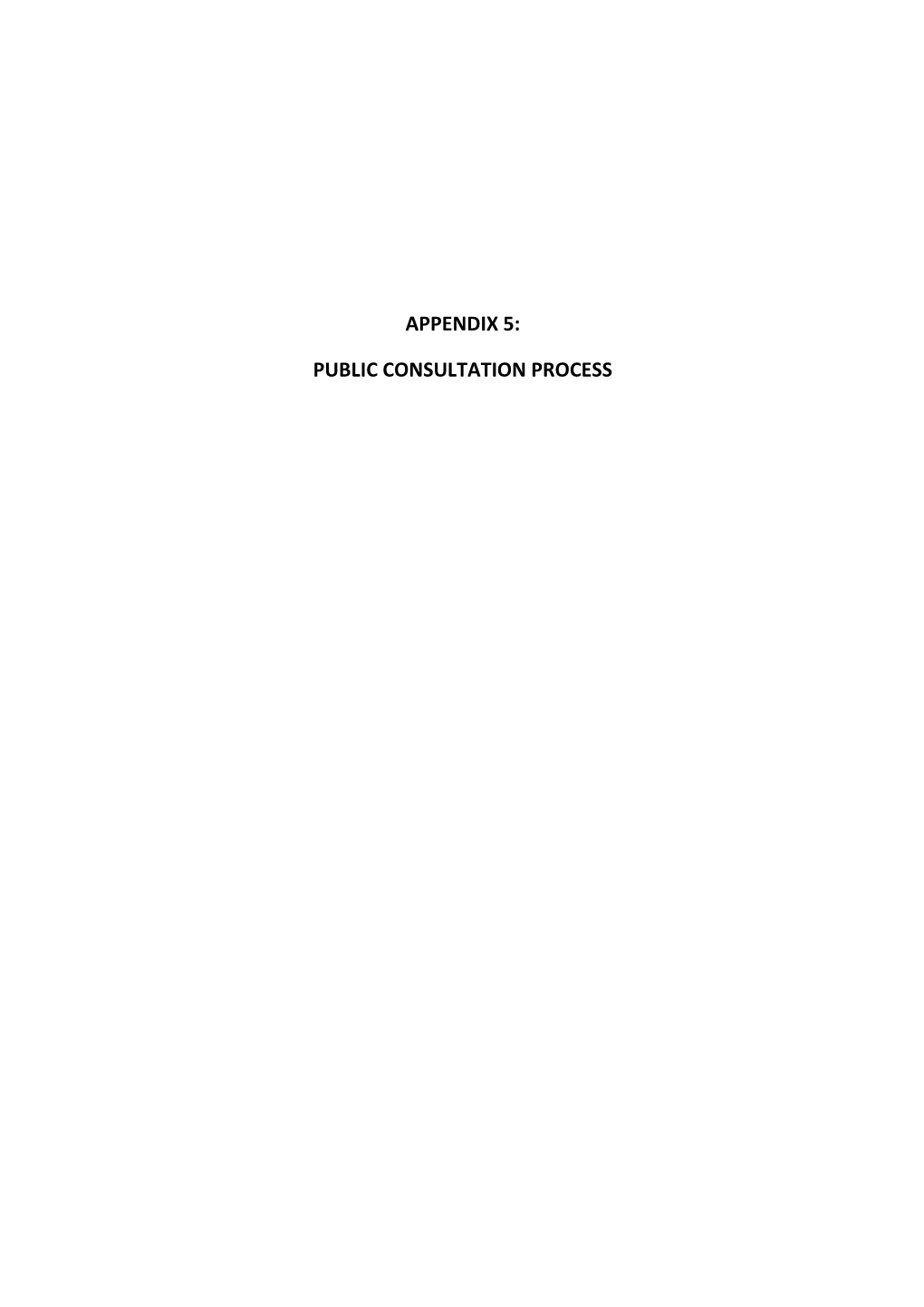 Appendix 5: Public Consultation Process