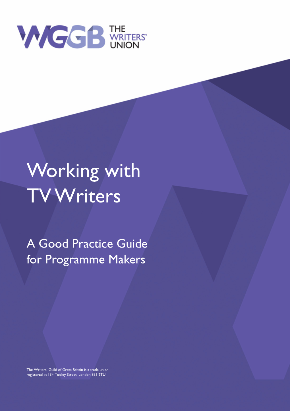 TV Guidelines.2.Pub