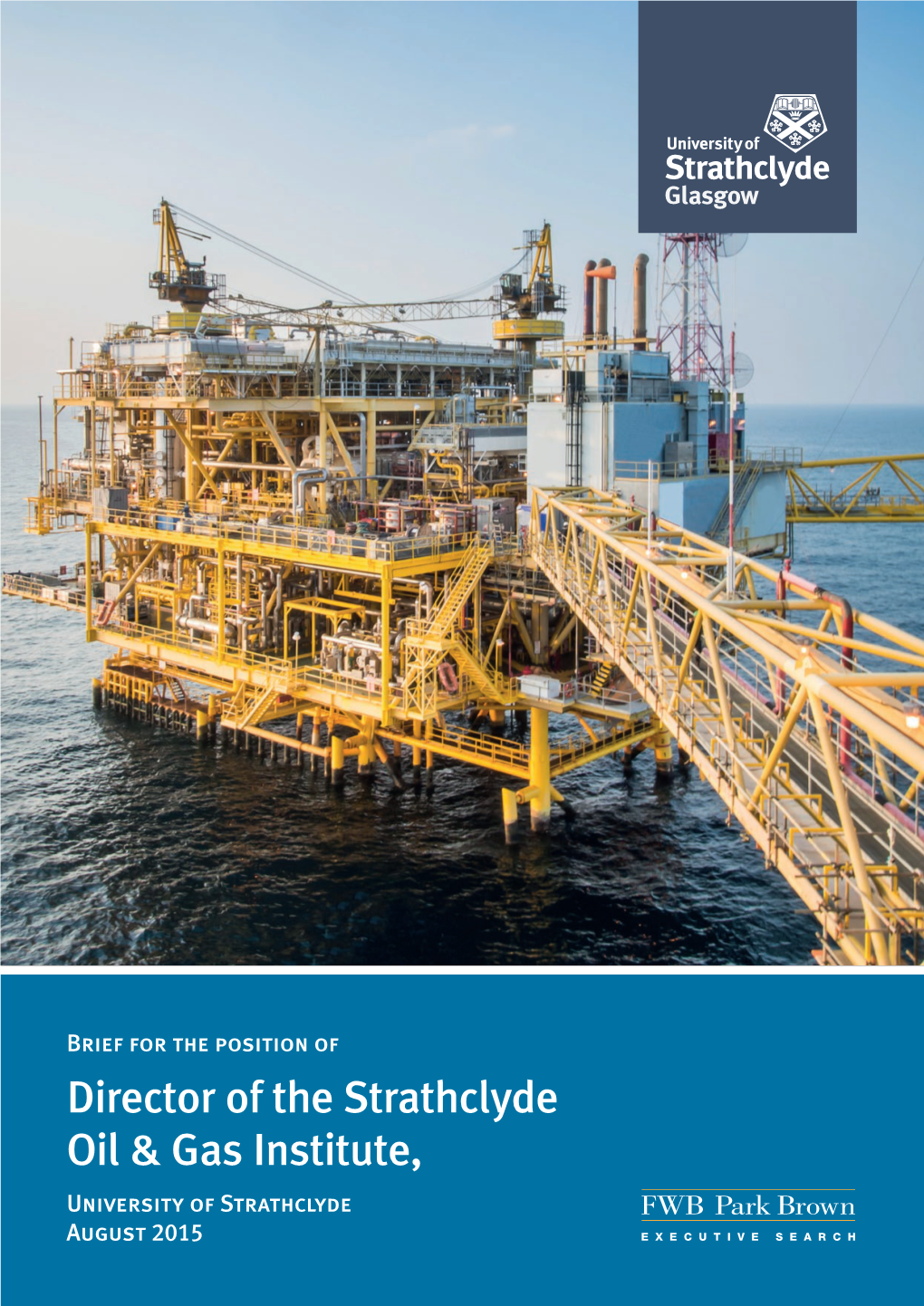 Director of the Strathclyde Oil & Gas Institute