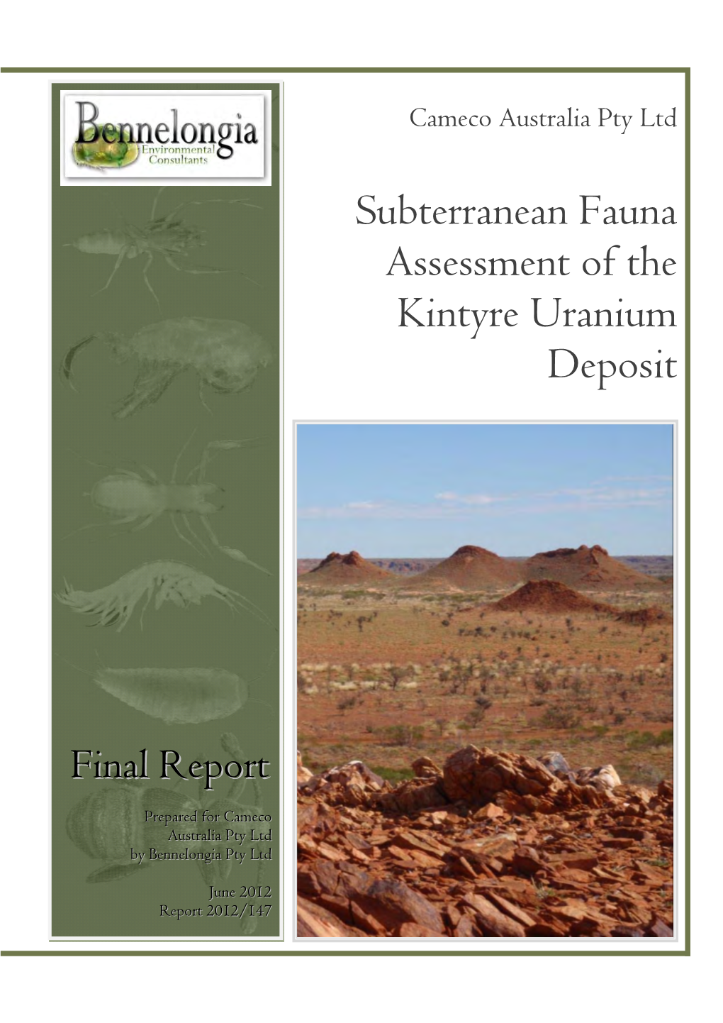 Subterranean Fauna Report