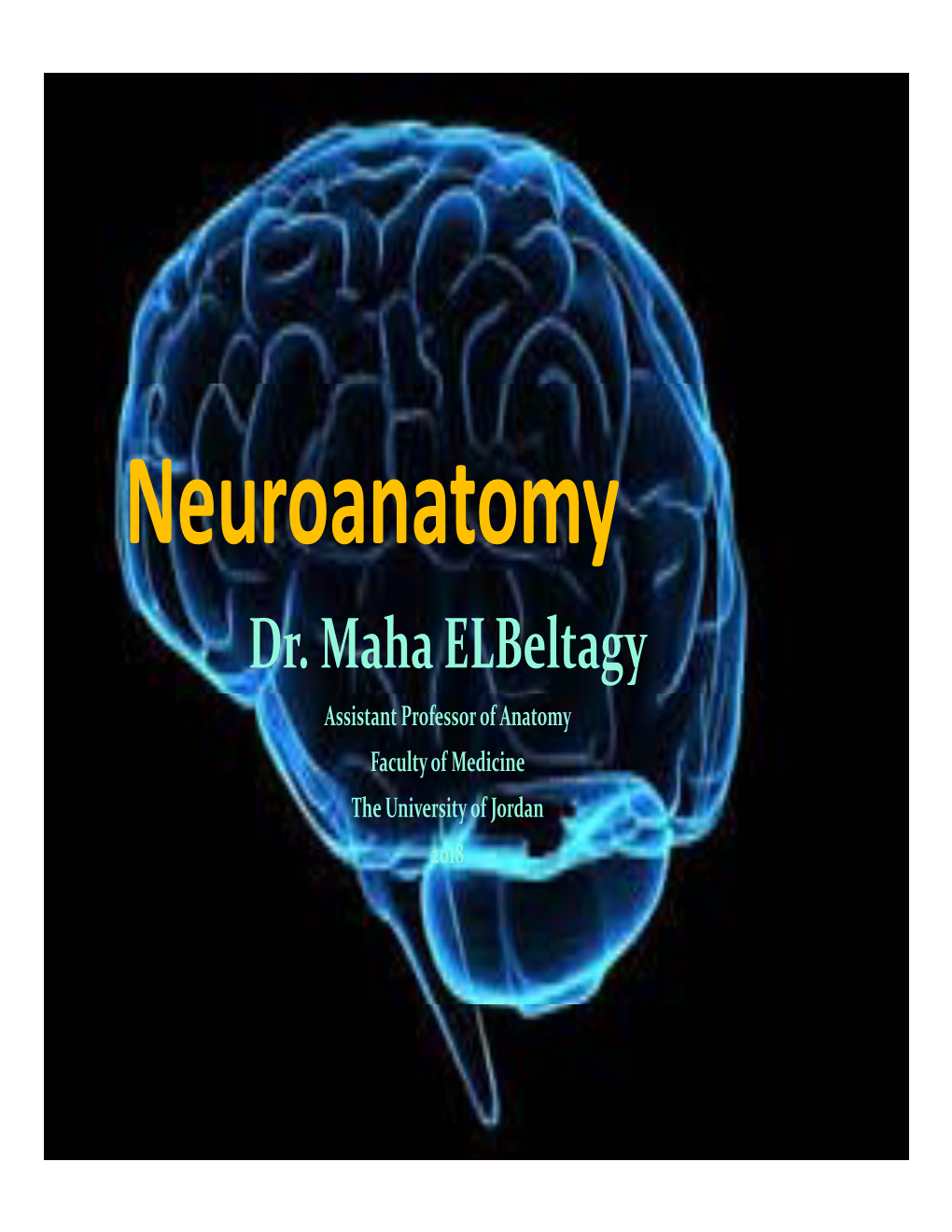 The Diencephalon Is Located Near the Midline of the Brain Above the Midbrain