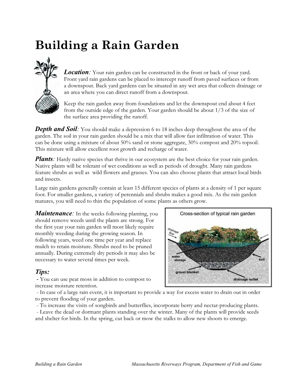 Building a Rain Garden