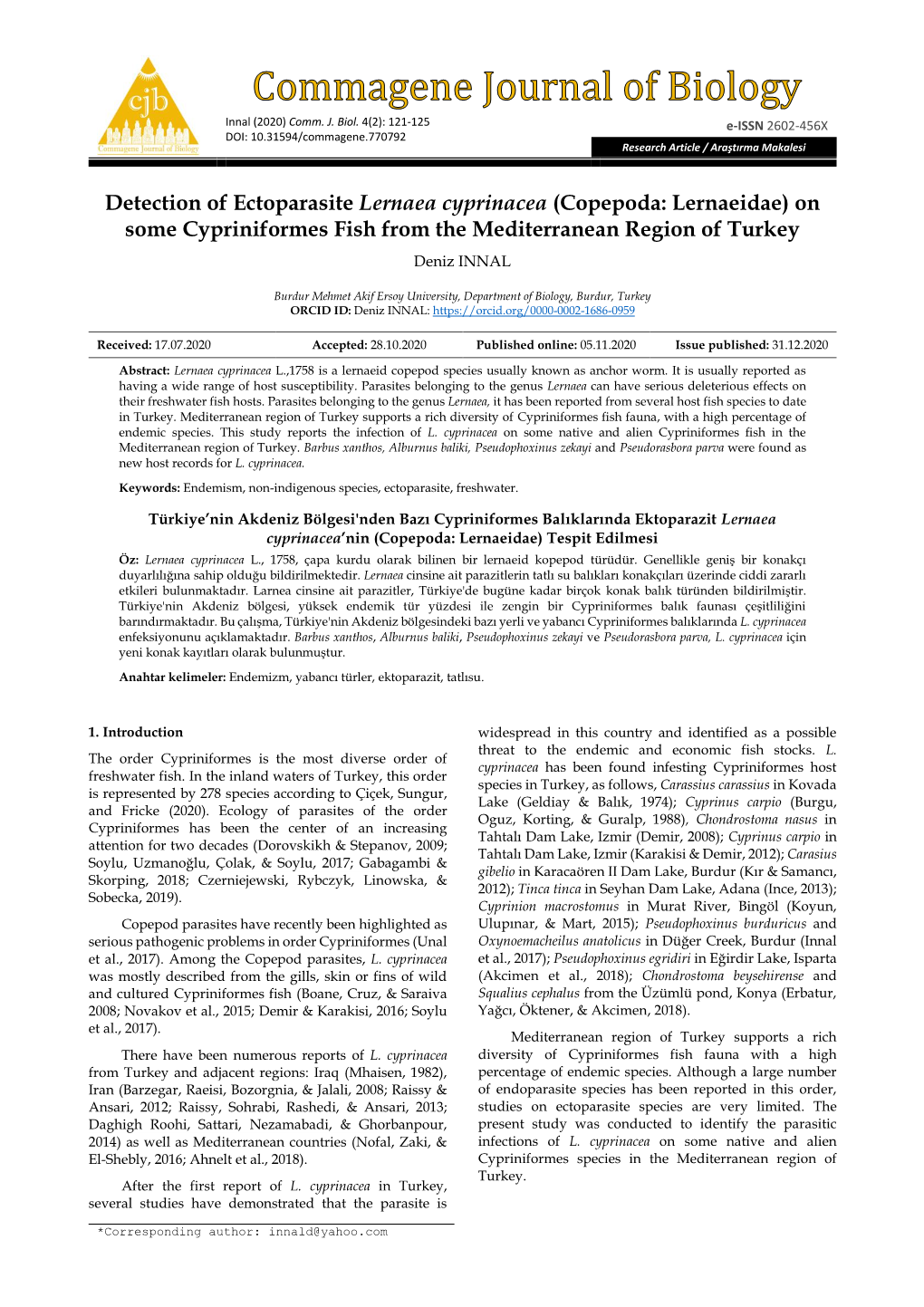Detection of Ectoparasite Lernaea Cyprinacea (Copepoda: Lernaeidae) on Some Cypriniformes Fish from the Mediterranean Region of Turkey Deniz INNAL
