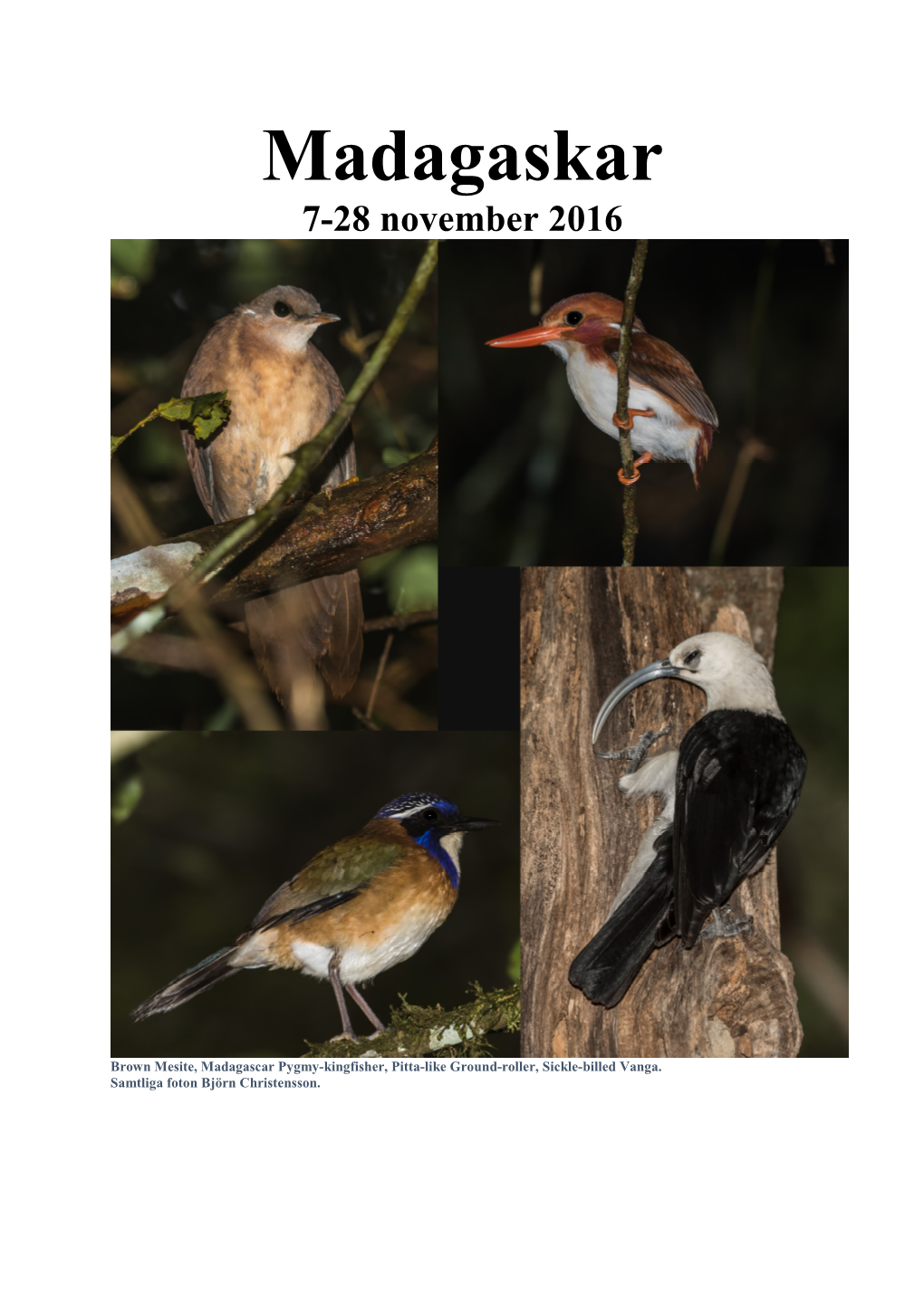 Madagaskar 7-28 November 2016