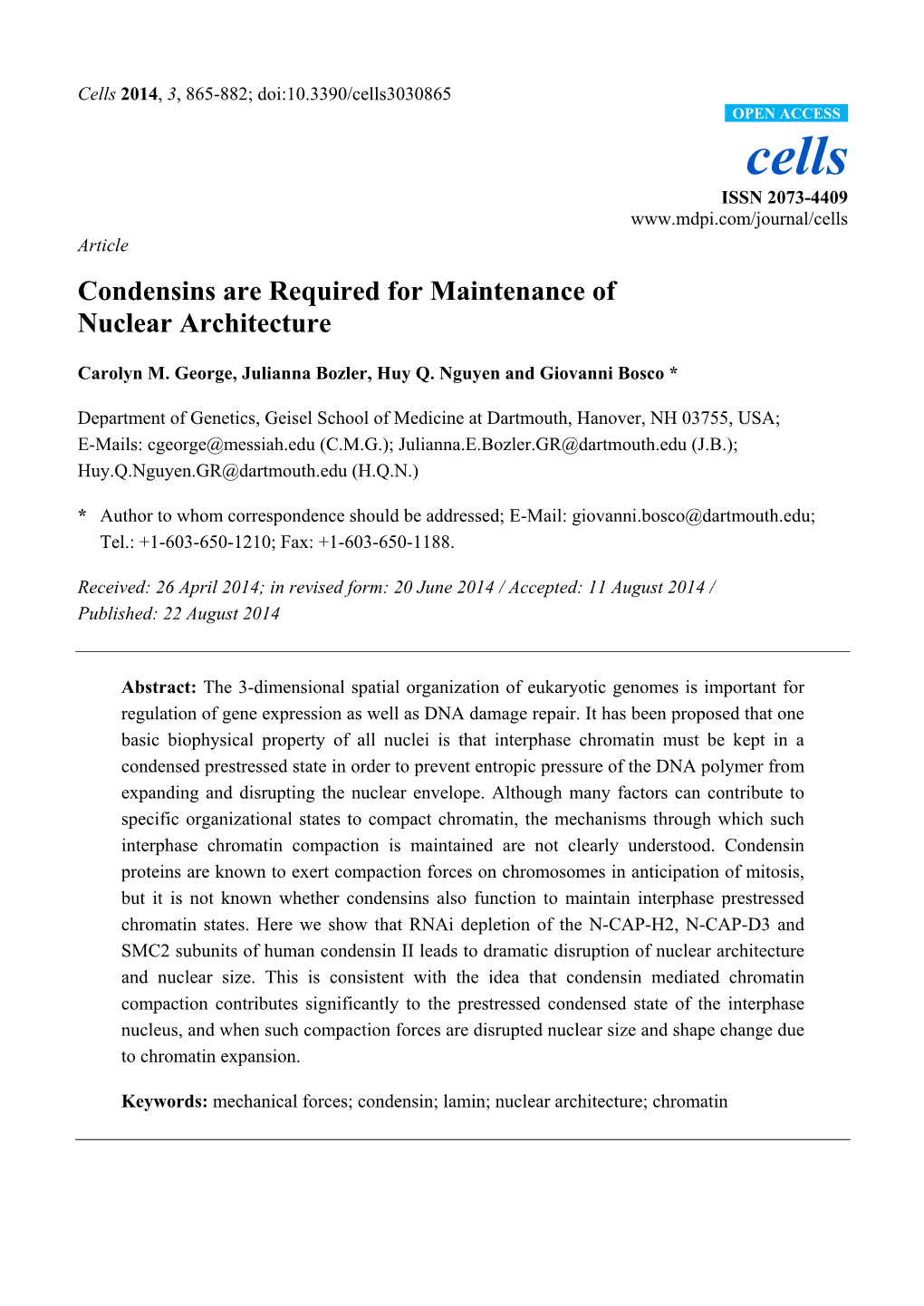 Condensins Are Required for Maintenance of Nuclear Architecture