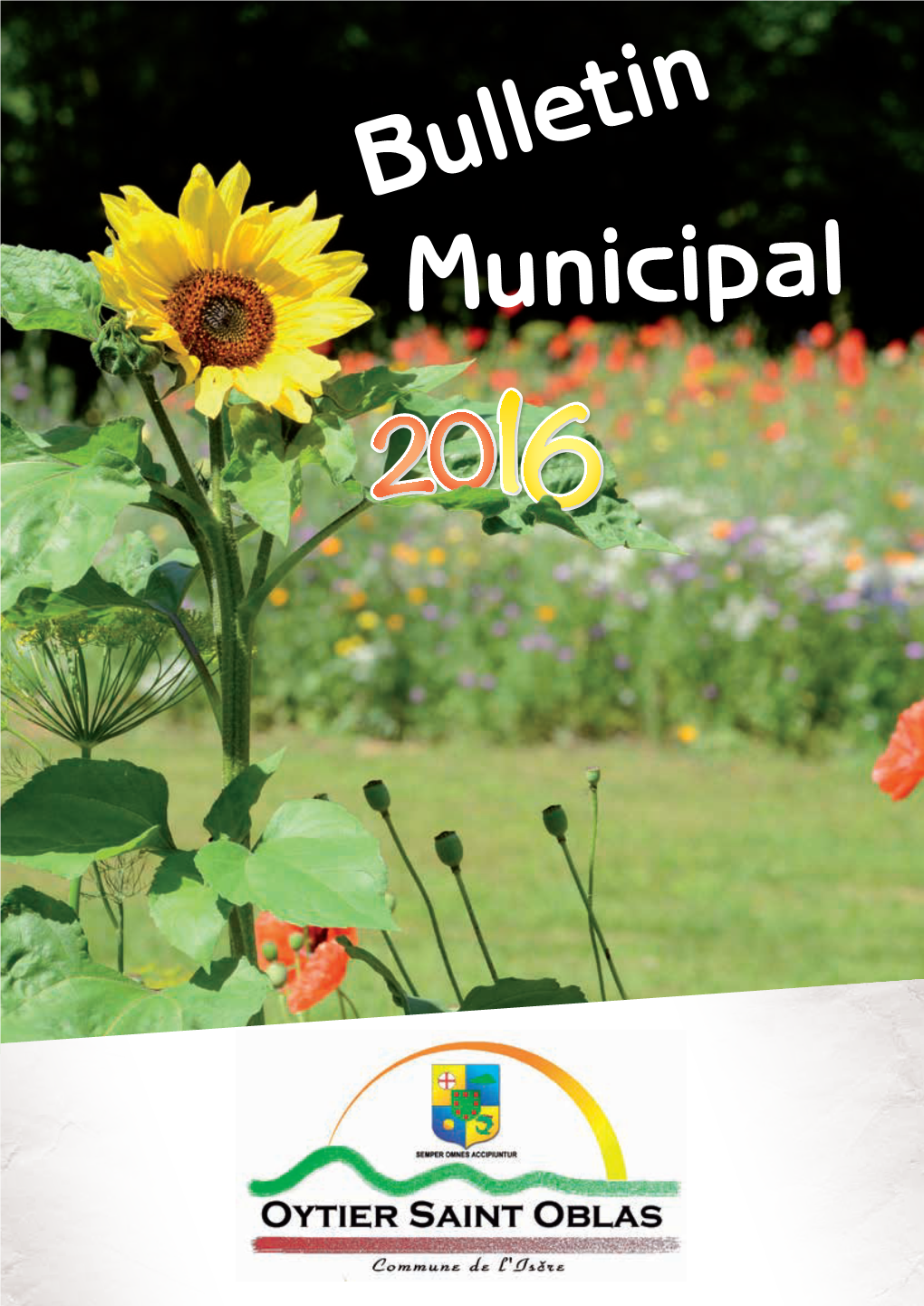Bulletin Municipal Sommaire