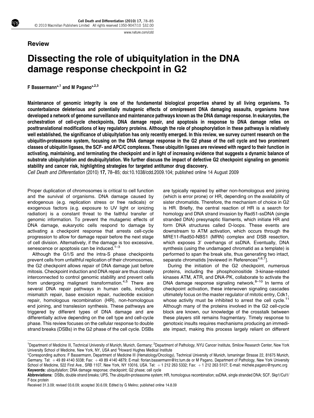Dissecting the Role of Ubiquitylation in the DNA Damage Response Checkpoint in G2