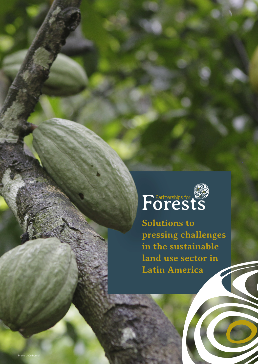 Unleashing Non-Timber Forest Products LOCAL-LEVEL - Colombia PROJECTS