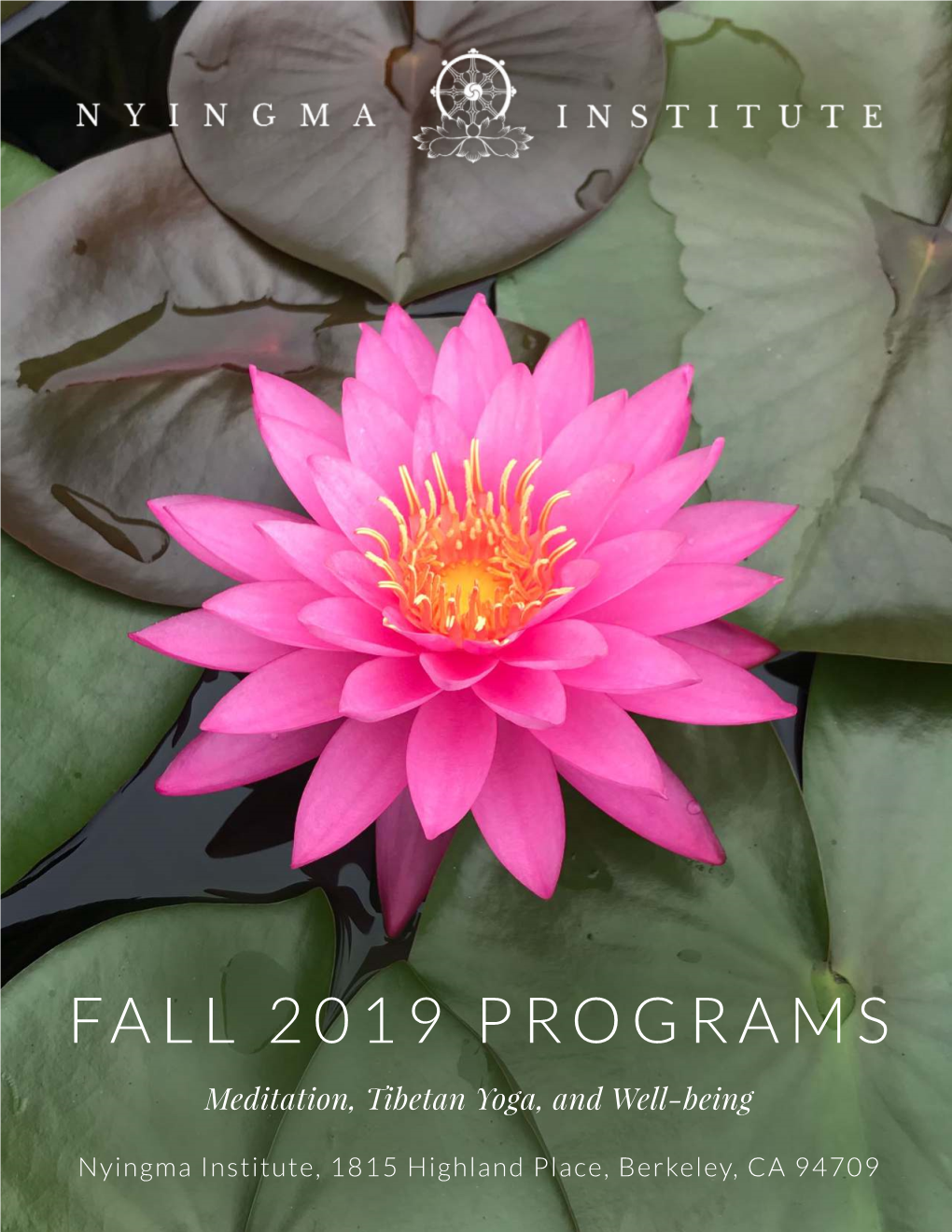 Fall 2019 Programs