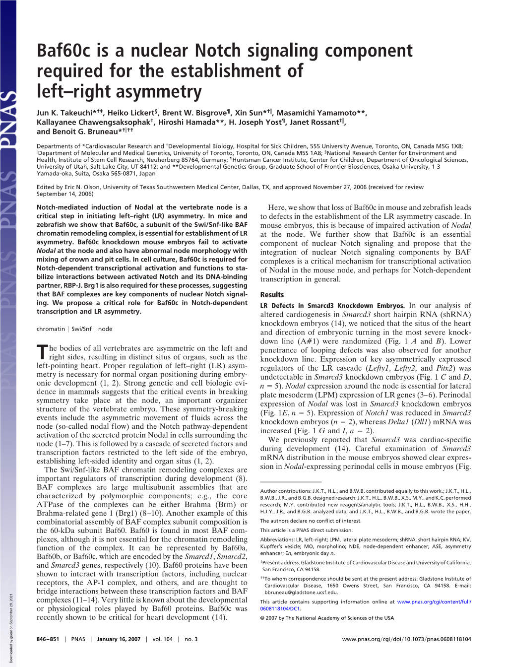 Baf60c Is a Nuclear Notch Signaling Component Required for the Establishment of Left–Right Asymmetry