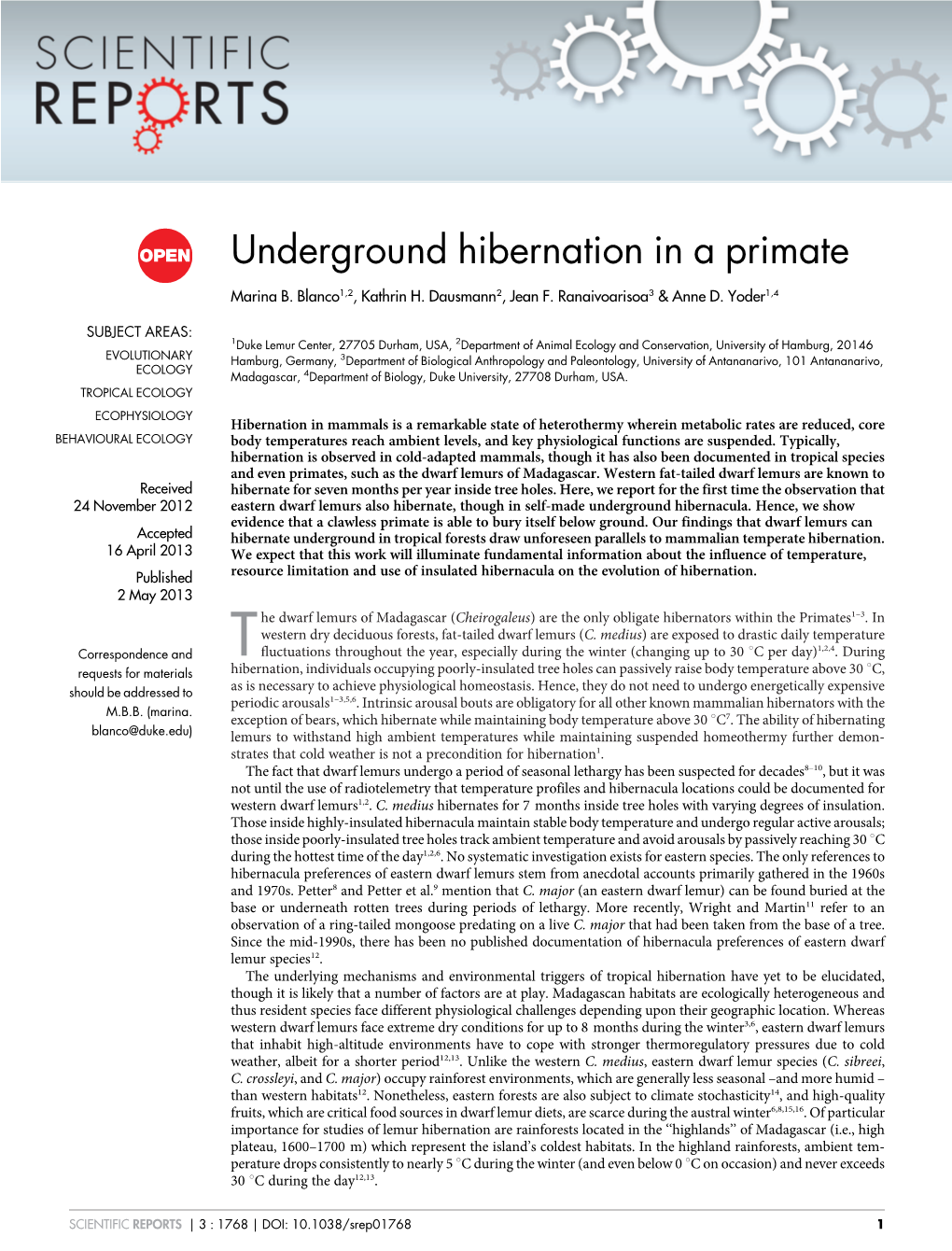 Underground Hibernation in a Primate