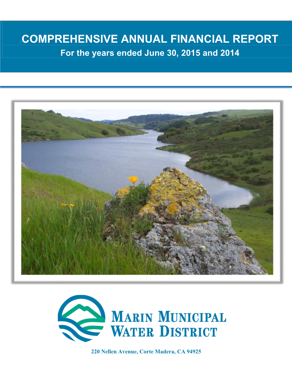 2015 Comprehensive Annual Financial Report