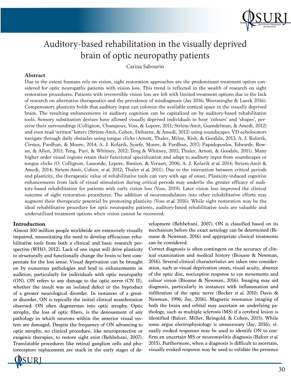 Auditory-Based Rehabilitation in the Visually Deprived Brain of Optic