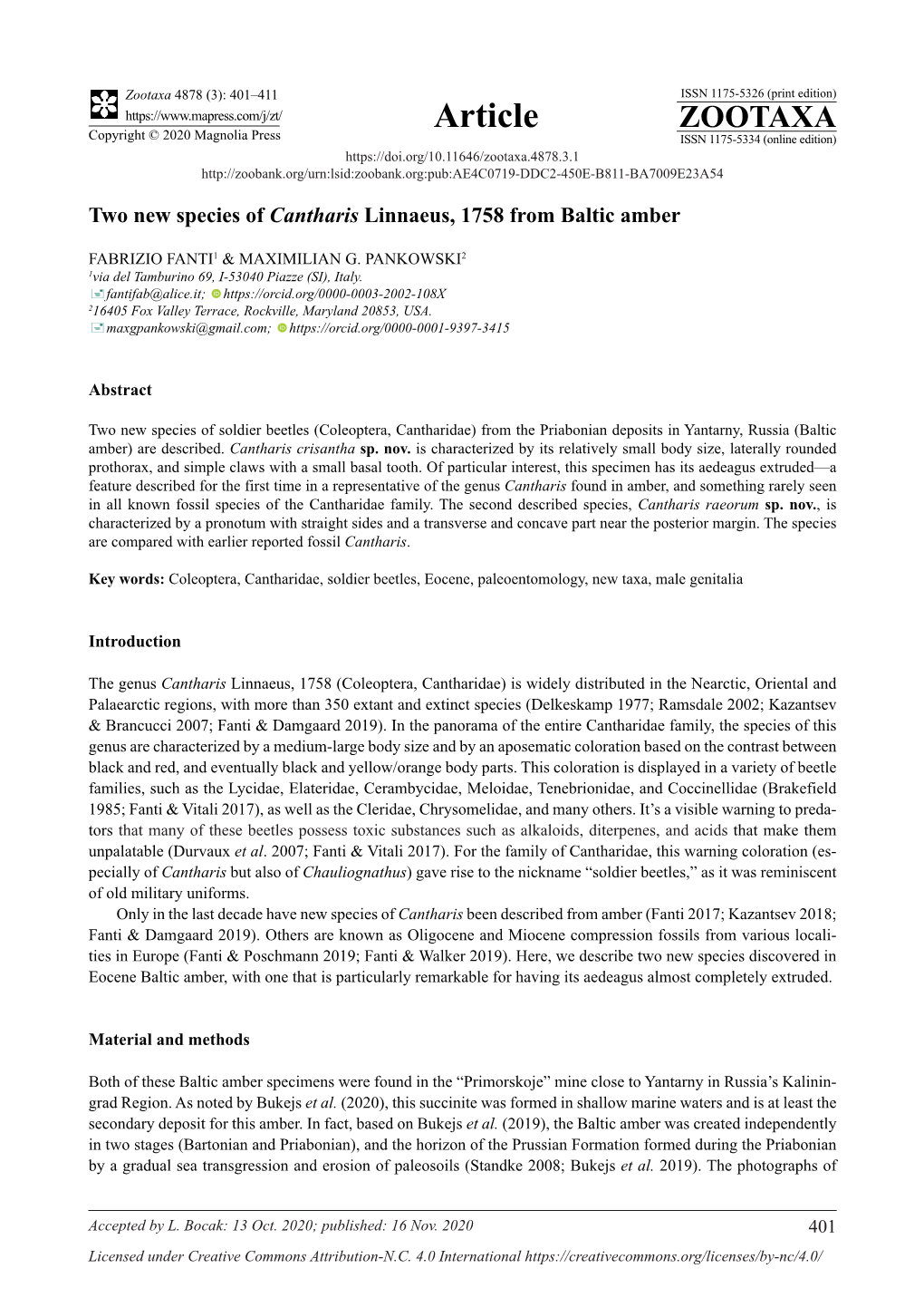 Two New Species of Cantharis Linnaeus, 1758 from Baltic Amber