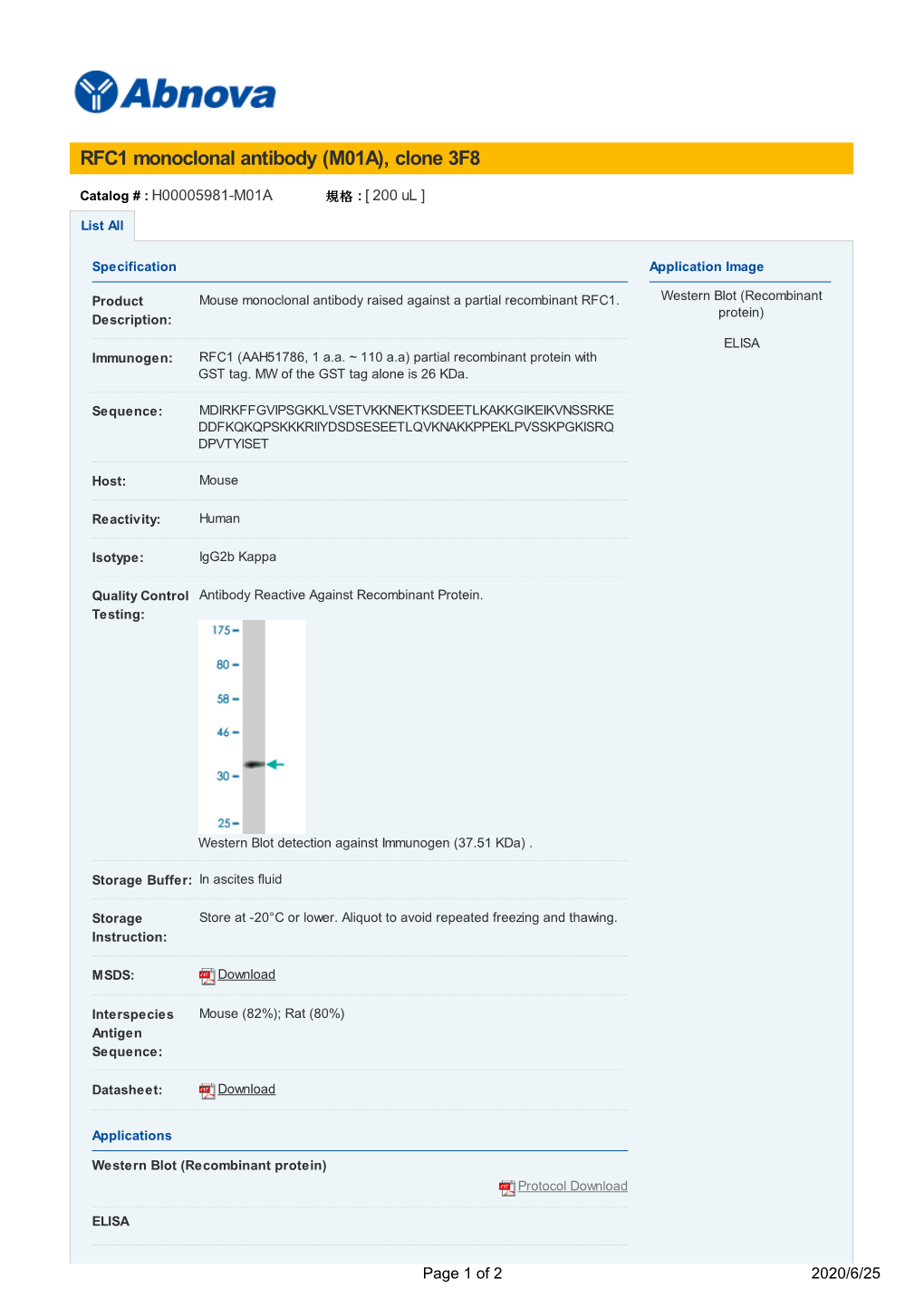 RFC1 Monoclonal Antibody (M01A), Clone 3F8