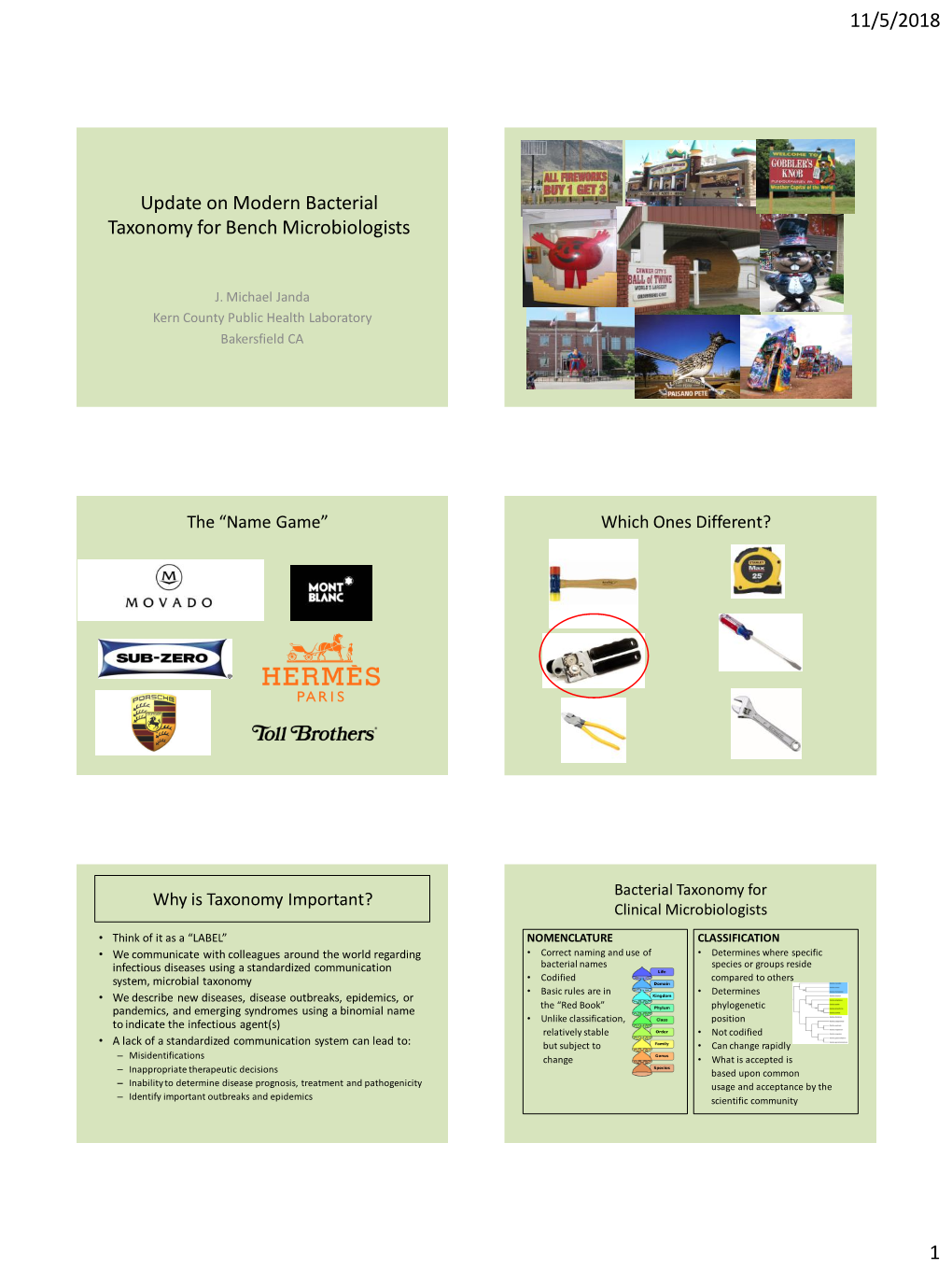 Update on Modern Bacterial Taxonomy for Bench Microbiologists