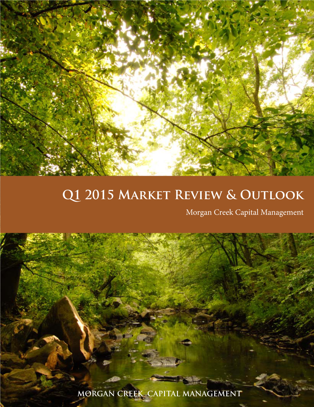 Q1 2015 Market Review & Outlook