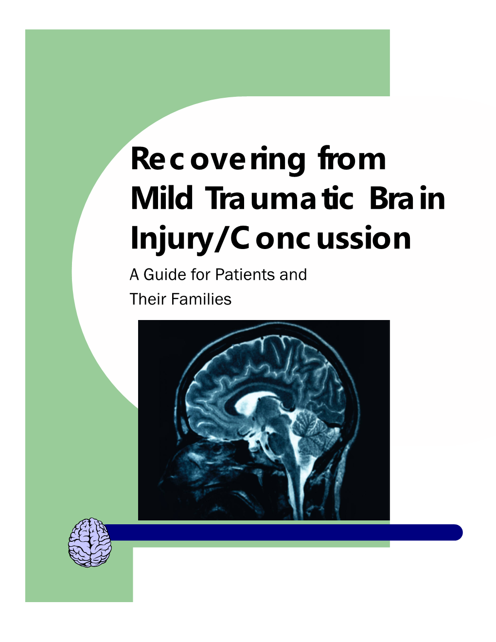 Recovering from Mild Traumatic Brain Injury/Concussion a Guide for Patients and Their Families