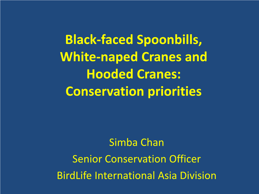 History of Work on Black-Faced Spoonbill (Simba Chan, 2010)