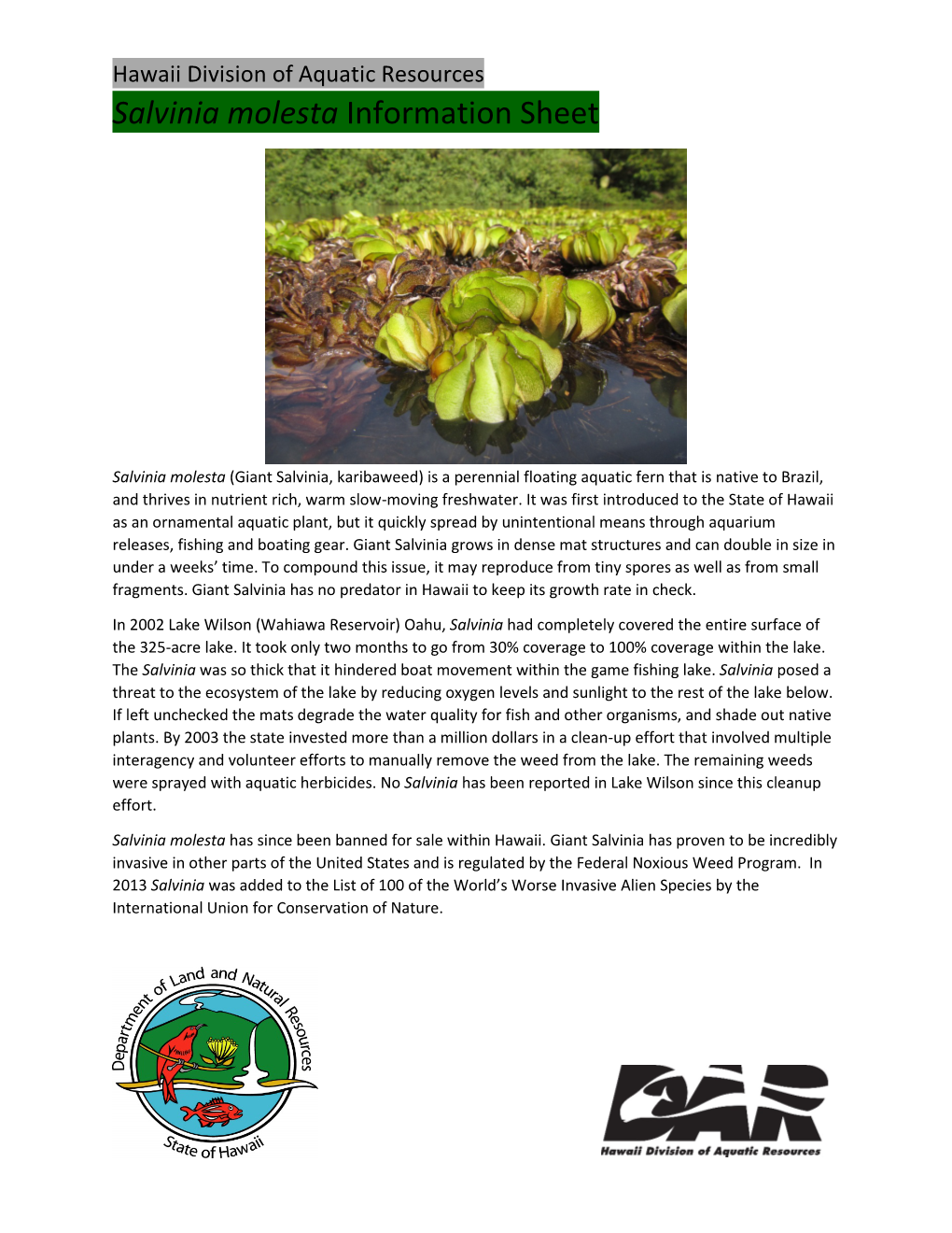 Salvinia Molesta Information Sheet