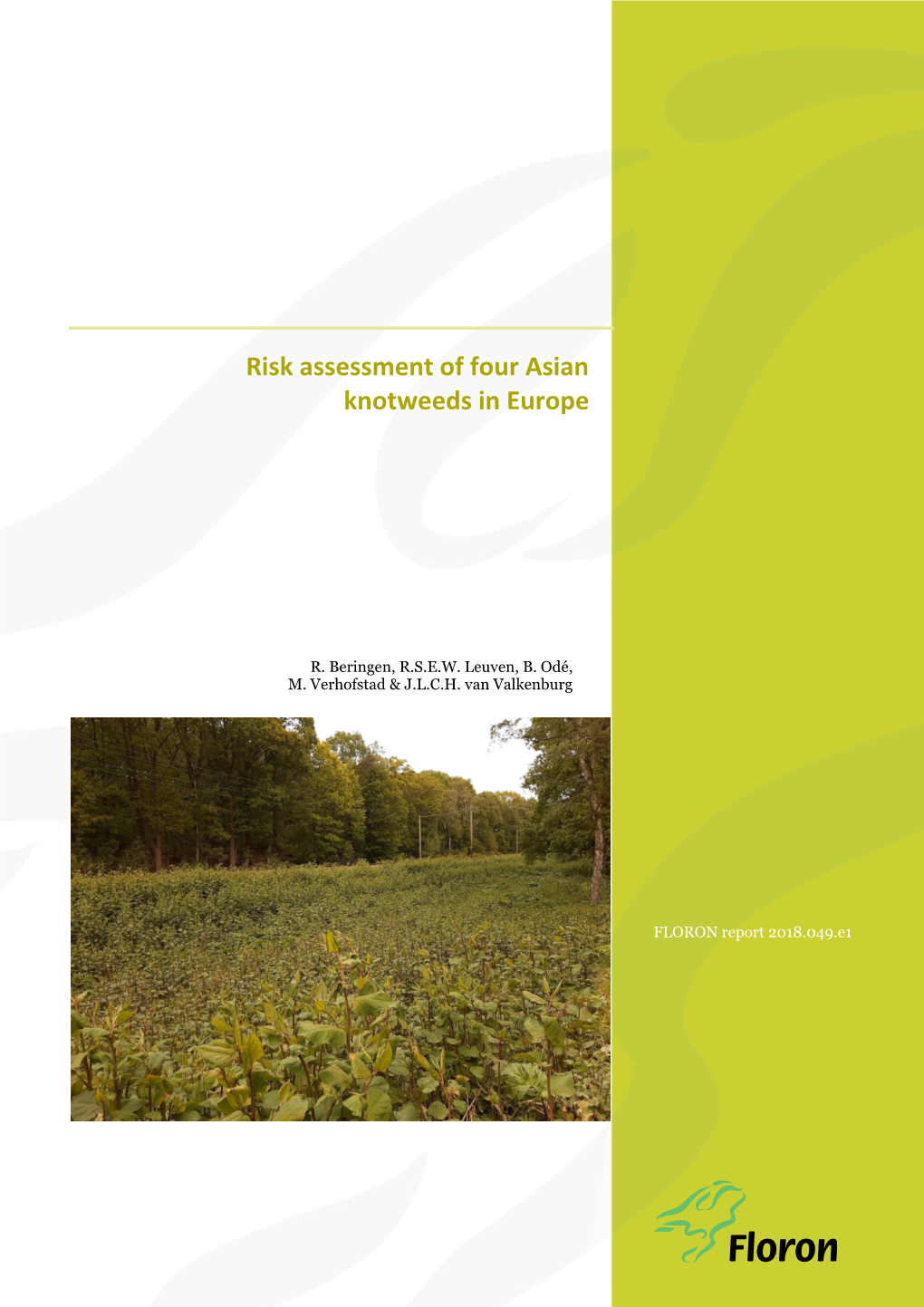 Floron Risk Assessment of Four Asian Knotweeds in Europe