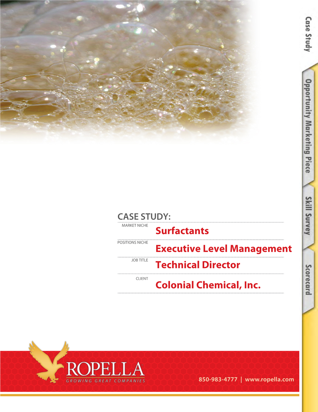 Surfactants Executive Level Management Technical Director