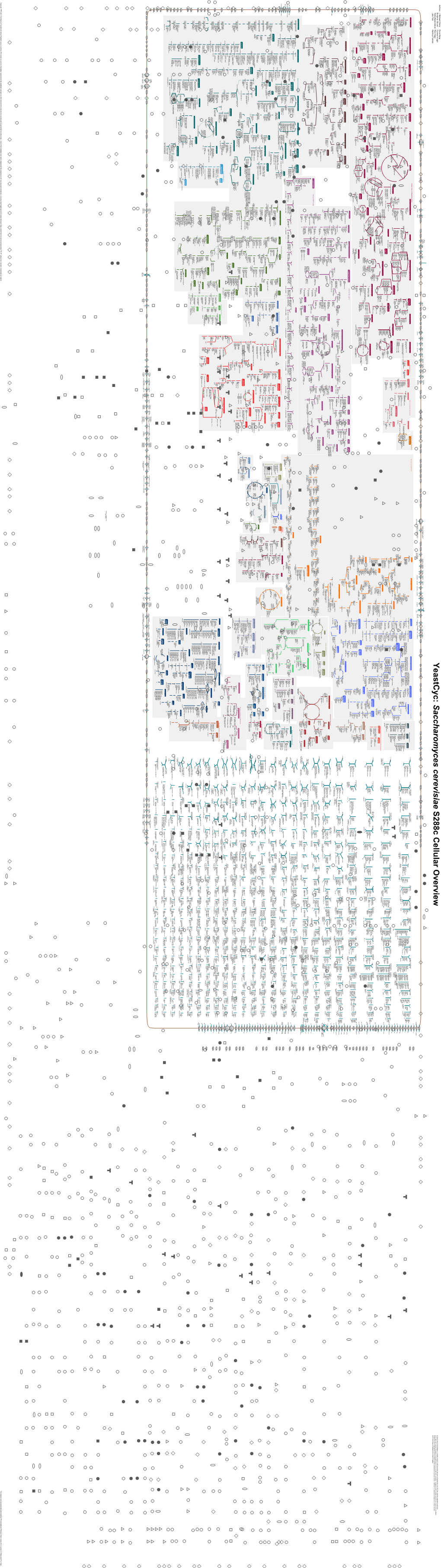 Generate Metabolic Map Poster