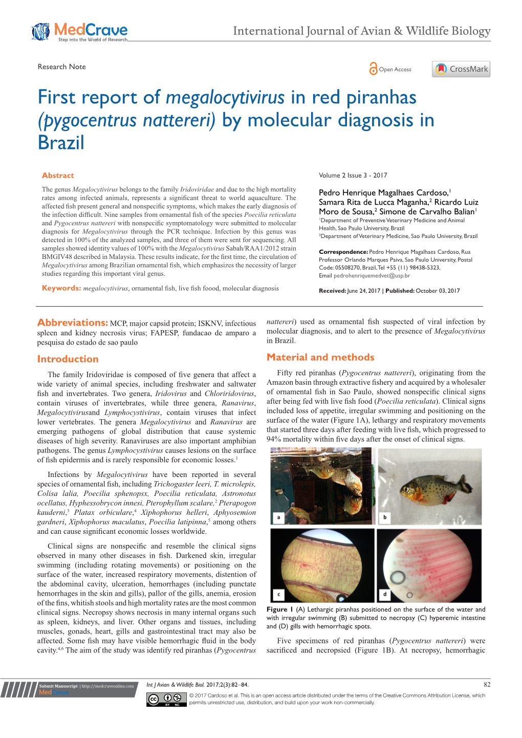 Pygocentrus Nattereri) by Molecular Diagnosis in Brazil