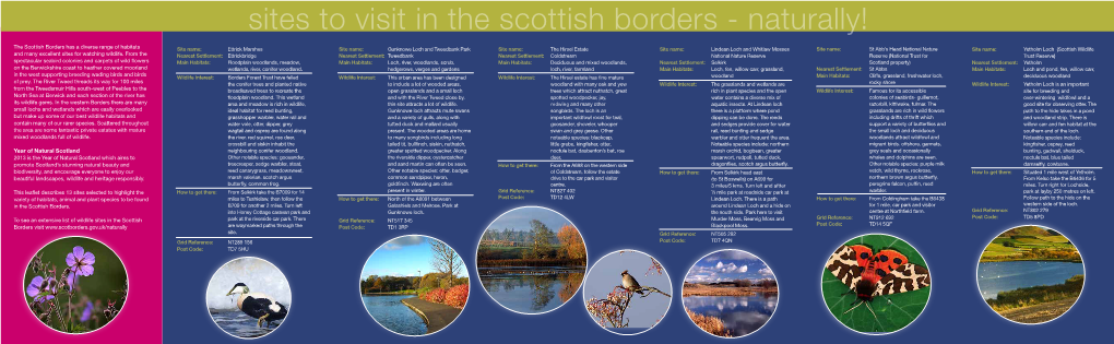 Sites to Visit in the Scottish Borders - Naturally!