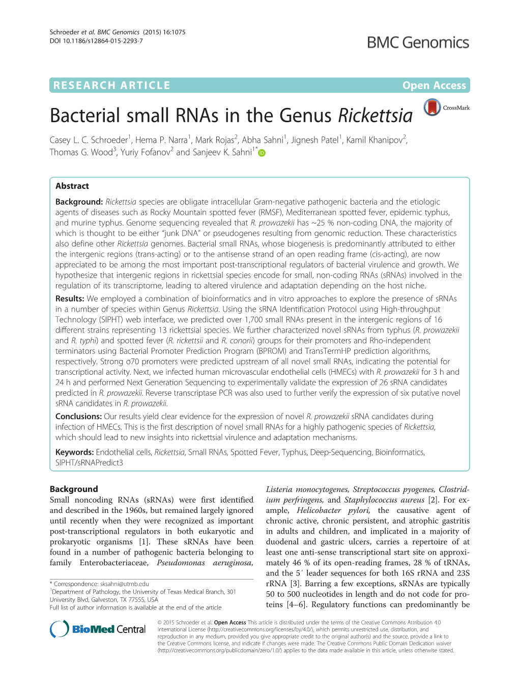 Bacterial Small Rnas in the Genus Rickettsia Casey L