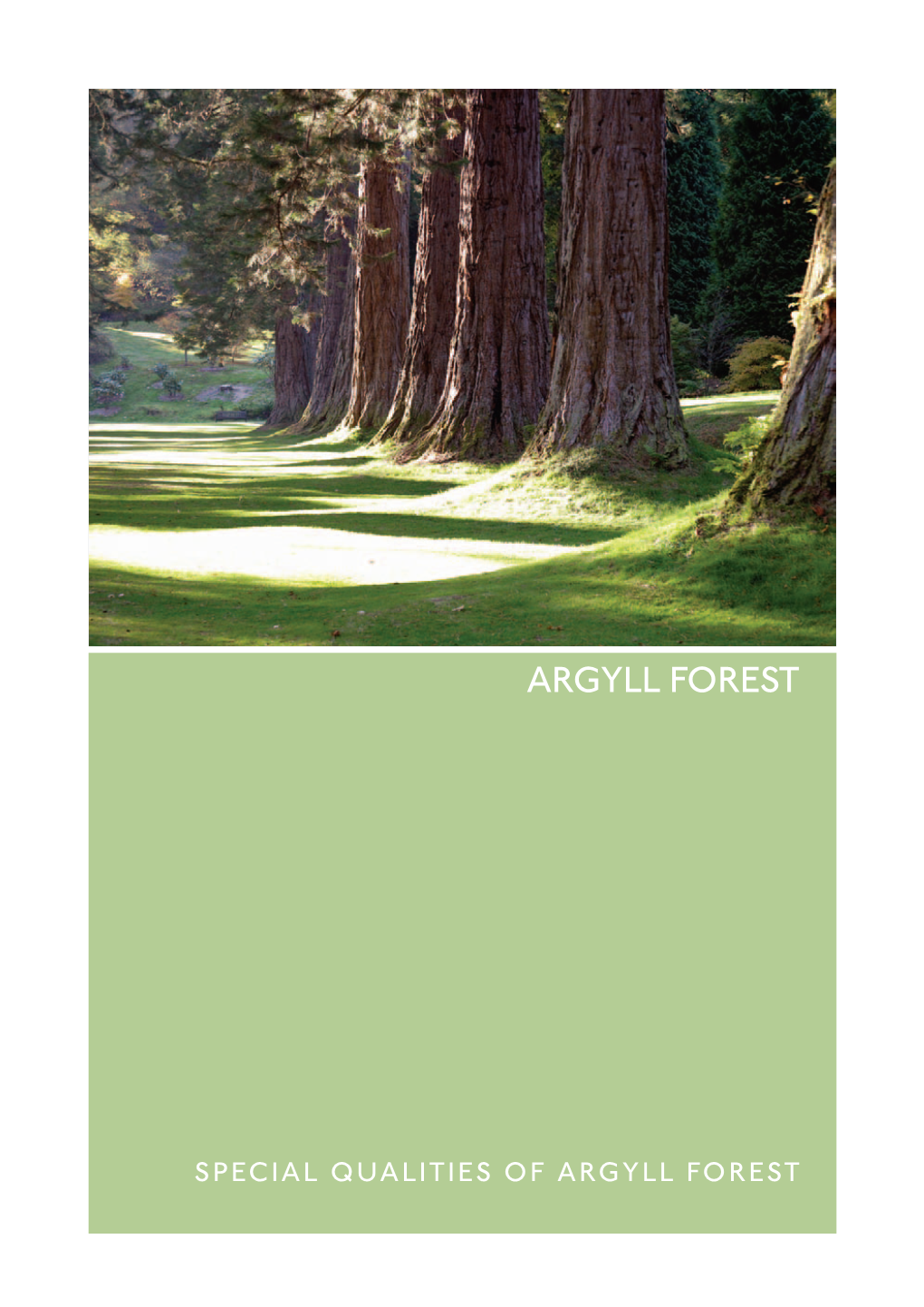 Argyll Forest