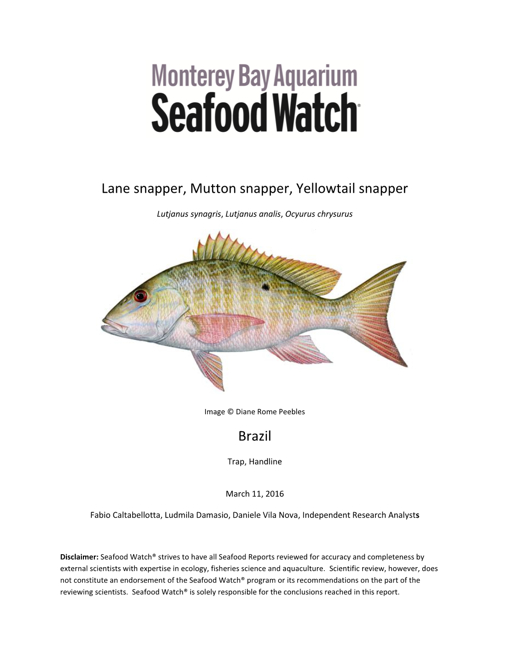 Lane Snapper, Mutton Snapper, Yellowtail Snapper Brazil