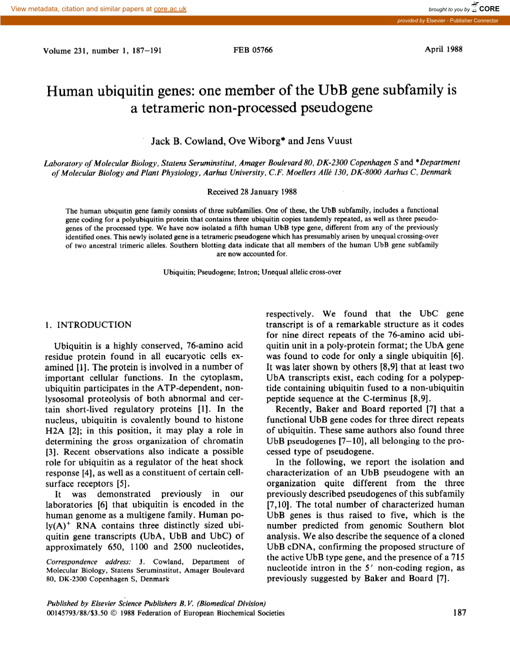 Human Ubiquitin Genes: One Member of the Ubb Gene Subfamily Is a Tetrameric Non-Processed Pseudogene