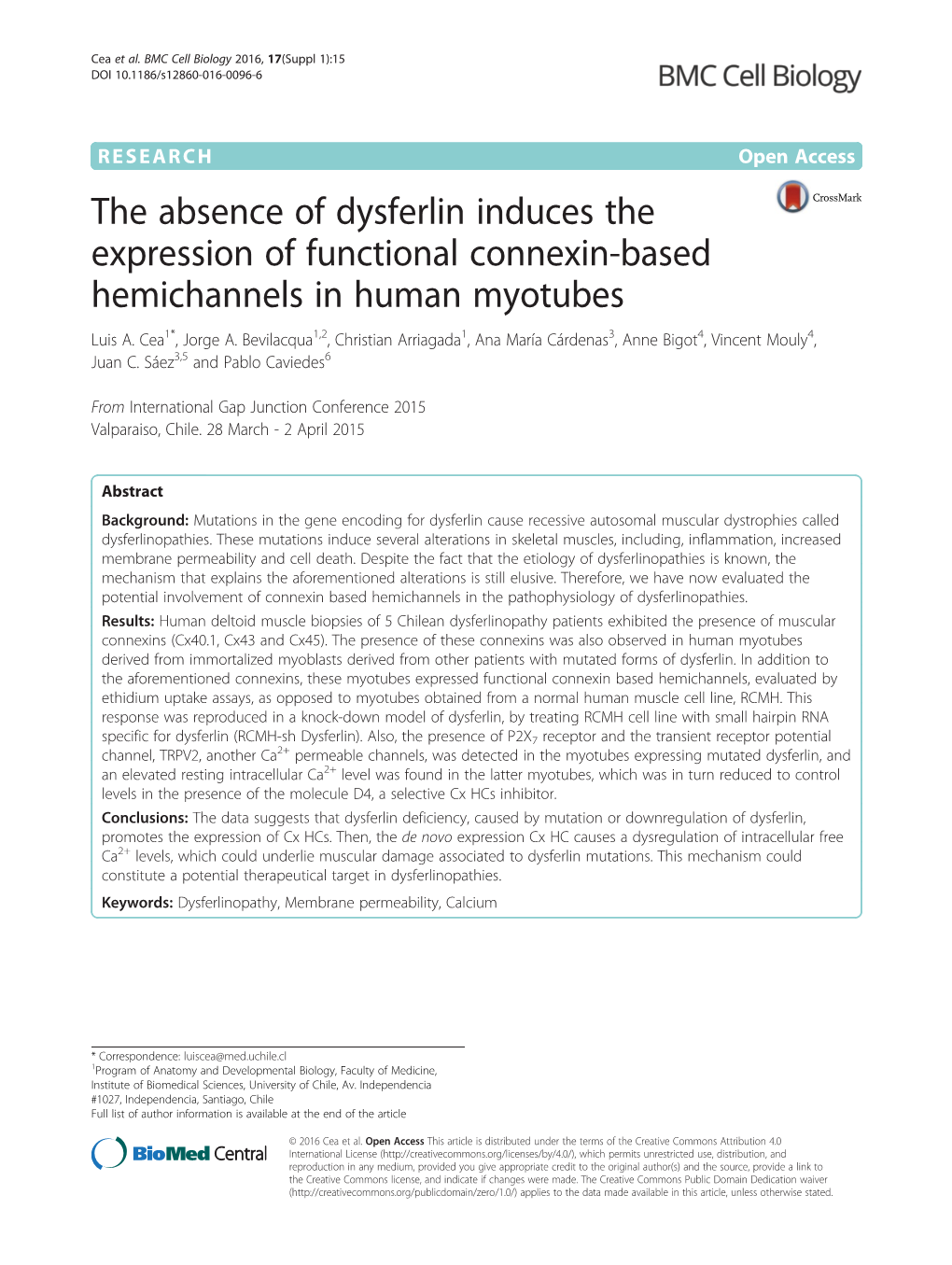 The Absence of Dysferlin Induces the Expression of Functional Connexin-Based Hemichannels in Human Myotubes Luis A