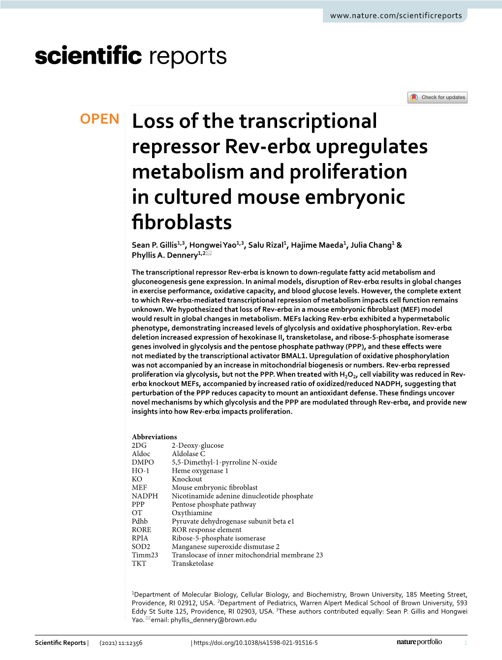Loss of the Transcriptional Repressor Rev-Erbα Upregulates Metabolism