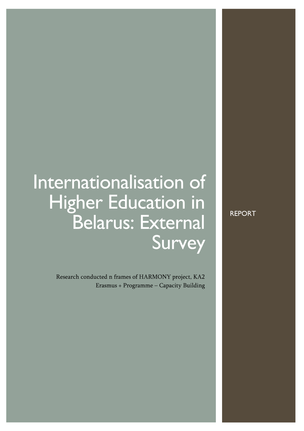 Internationalisation of Higher Education in Belarus: External Survey