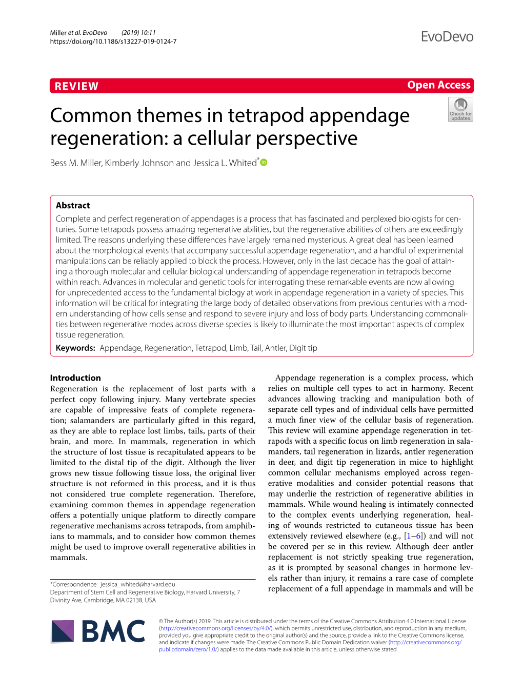 Common Themes in Tetrapod Appendage Regeneration: a Cellular Perspective Bess M