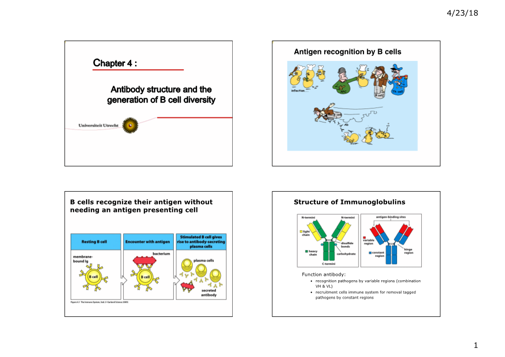 Antibody Structure and the Generation of B-Cell Diversity (Chapter 4)