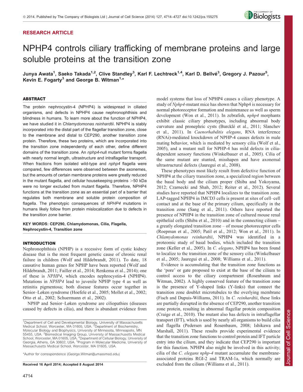 NPHP4 Controls Ciliary Trafficking of Membrane Proteins and Large