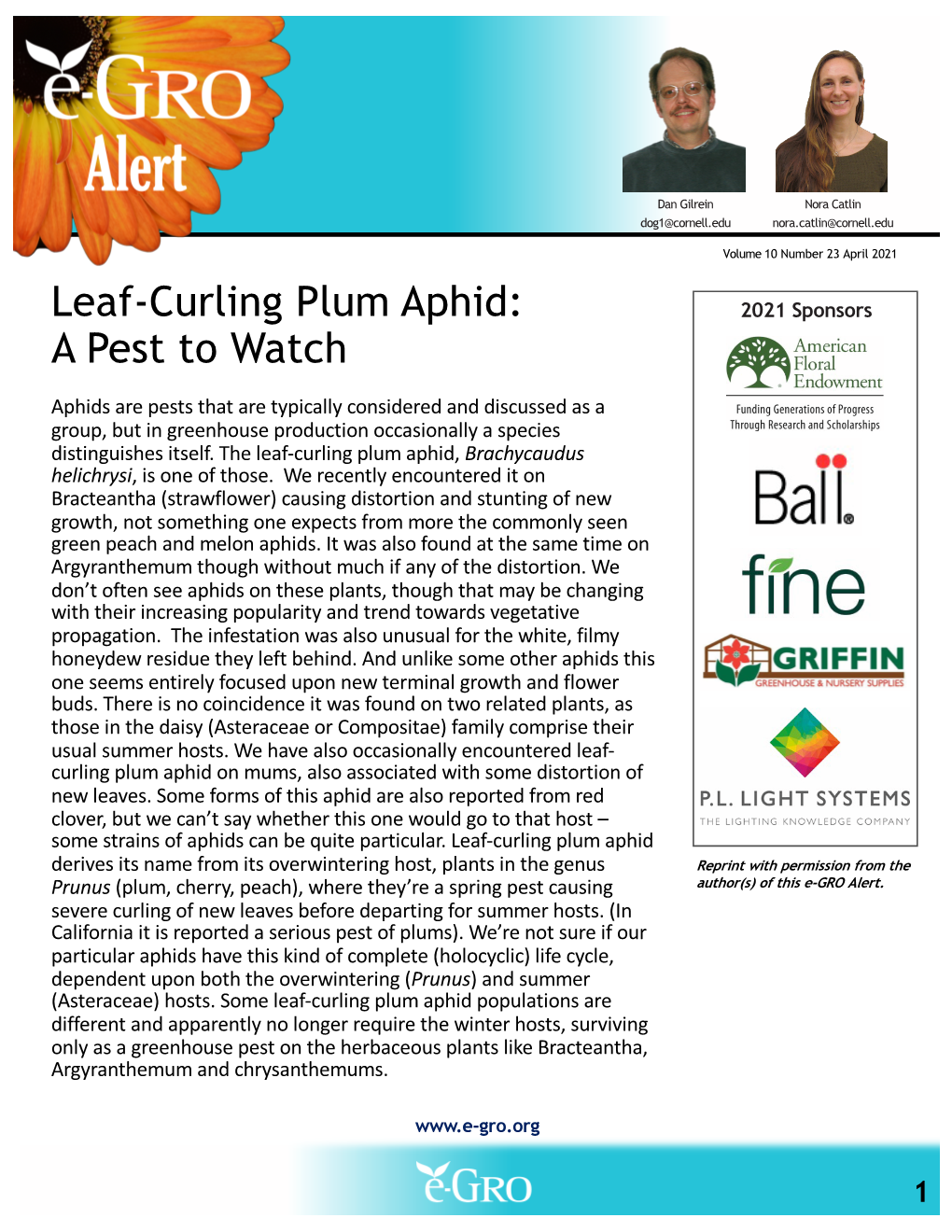 Leaf-Curling Plum Aphid: 2021 Sponsors a Pest to Watch