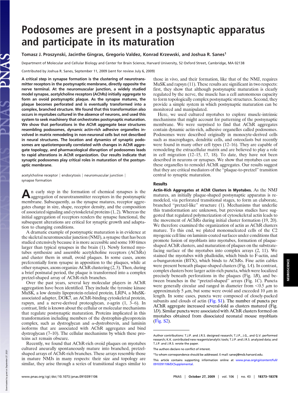 Podosomes Are Present in a Postsynaptic Apparatus and Participate in Its Maturation