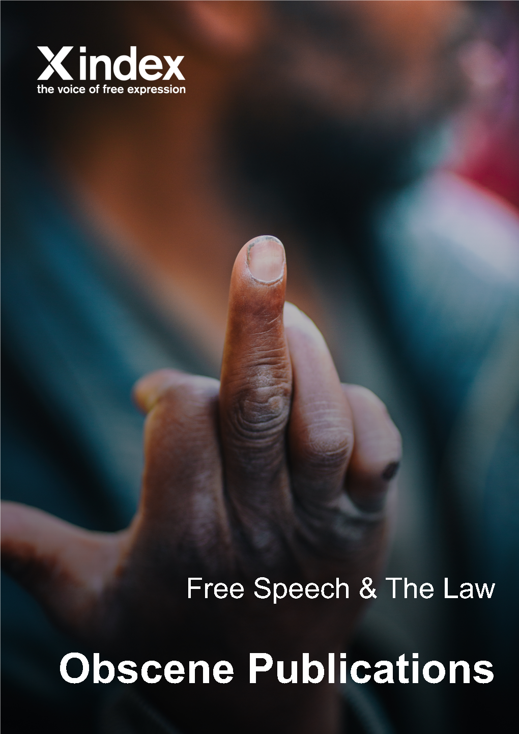 Free-Speech-And-The-Law-Obscene-Publications.Pdf