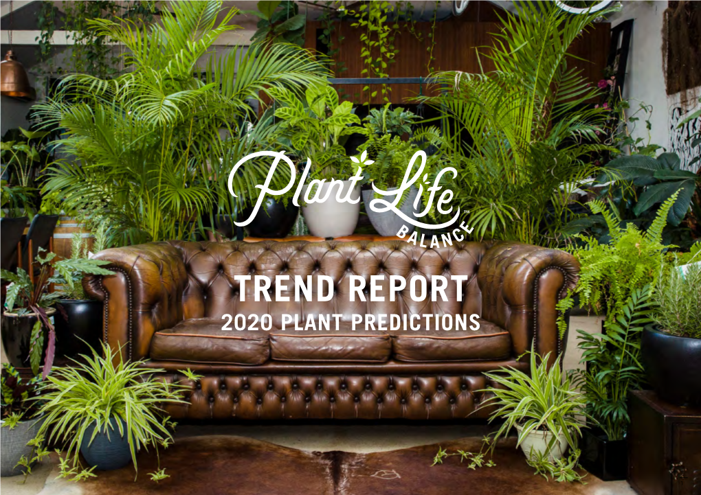 Australia's First-Ever Plant Trend Report