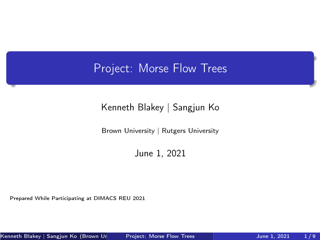 Project: Morse Flow Trees