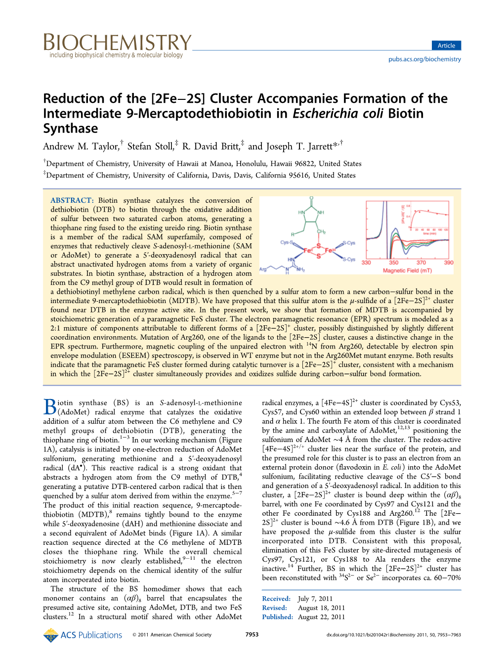 Cluster Accompanies Formation of the Intermediate 9-Mercaptodethiobiotin in Escherichia Coli Biotin Synthase Andrew M