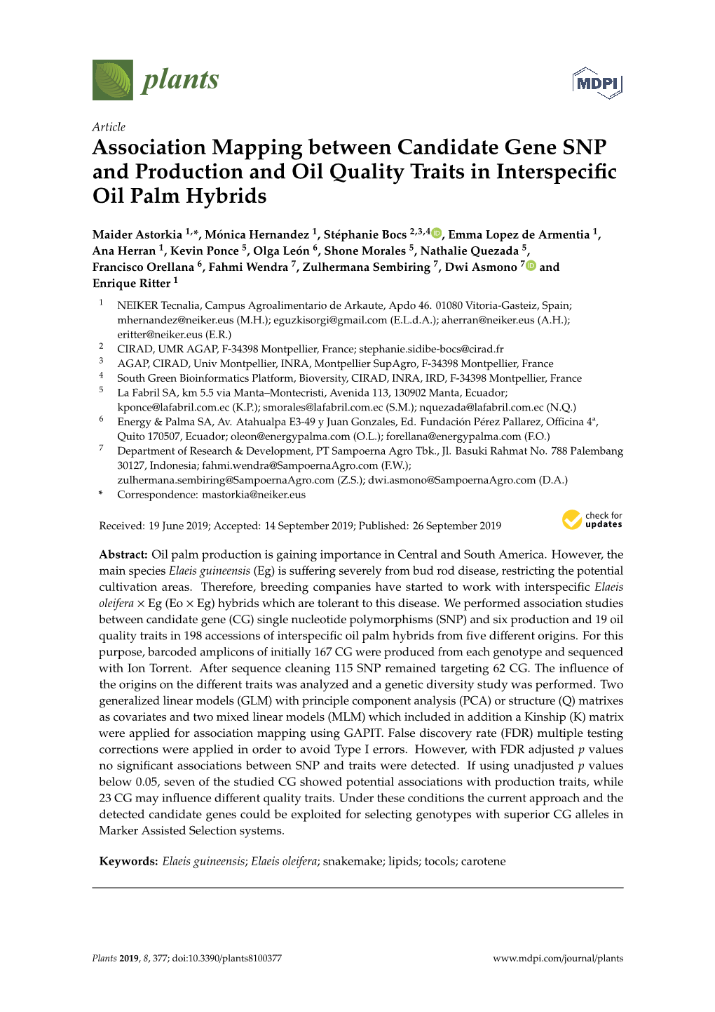 Association Mapping Between Candidate Gene SNP and Production and Oil Quality Traits in Interspecific Oil Palm Hybrids